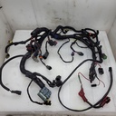 FRAME HARNESS