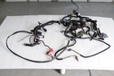 Main Harness