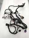Main Harness