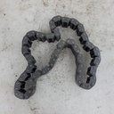 Chain (70L)