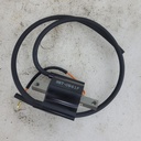 YAMAHA-Ignition Coil Assembly-85T-82310-09-00