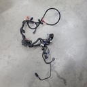 chassis wiring harness