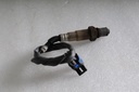 Oxygen Sensor Packages XT Hunting Edition