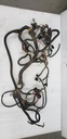 MAIN HARNESS - 710000713