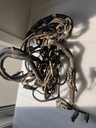 BRP (Can-am / Ski-doo)-Harness-Assy.-710005092