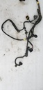 Harness - 710005755 CAN AM