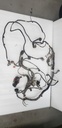 Main Wiring Harness - 710006710 can am