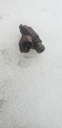 INJECTOR - YAMAHA - 8FP-13761-10-00 YAMAHA