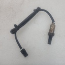Sensor, Oxygen