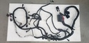 Wire Harness Assy - 8LJ-H2590-00-00 YAMAHA