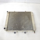 POLARIS-ASM-RADIATOR,CORE-1241480