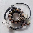 Stator Assembly