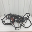 wiring harness_chassis