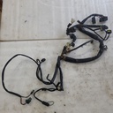 Harness, Main