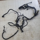 Harness, Main