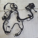Harness, Main