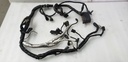 harness, main (inc. 19-27)