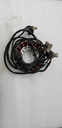 STATOR - 21003-1170 kawasaki