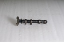POLARIS-exhaust camshaft-3023529