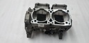 POLARIS-crankcase kit-2207329