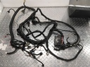 Harness, Main (inc. 10-17)