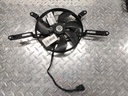 Blower Assy