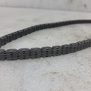 BRP (Can-am / Ski-doo)-camshaft chain-420898530