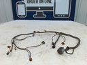 (new ref. 420666501) engine wiring harness