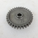 middle gear