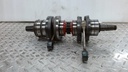 Crankshaft Ass'y