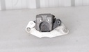 rear caliper