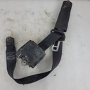 ASM-SEAT BELT,3PT 2635118