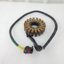 (new ref. 420685632) stator plate xt, xtp