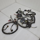 WIRING HARNESS MAIN