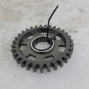 pigion gear, 31 teeth