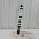 Shock, Ski