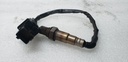 POLARIS-OXYGEN SENSOR, WIDE BAND-4011040
