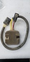 POLARIS-VOLTAGE REGULATOR - POLARIS - 4011636-4011636